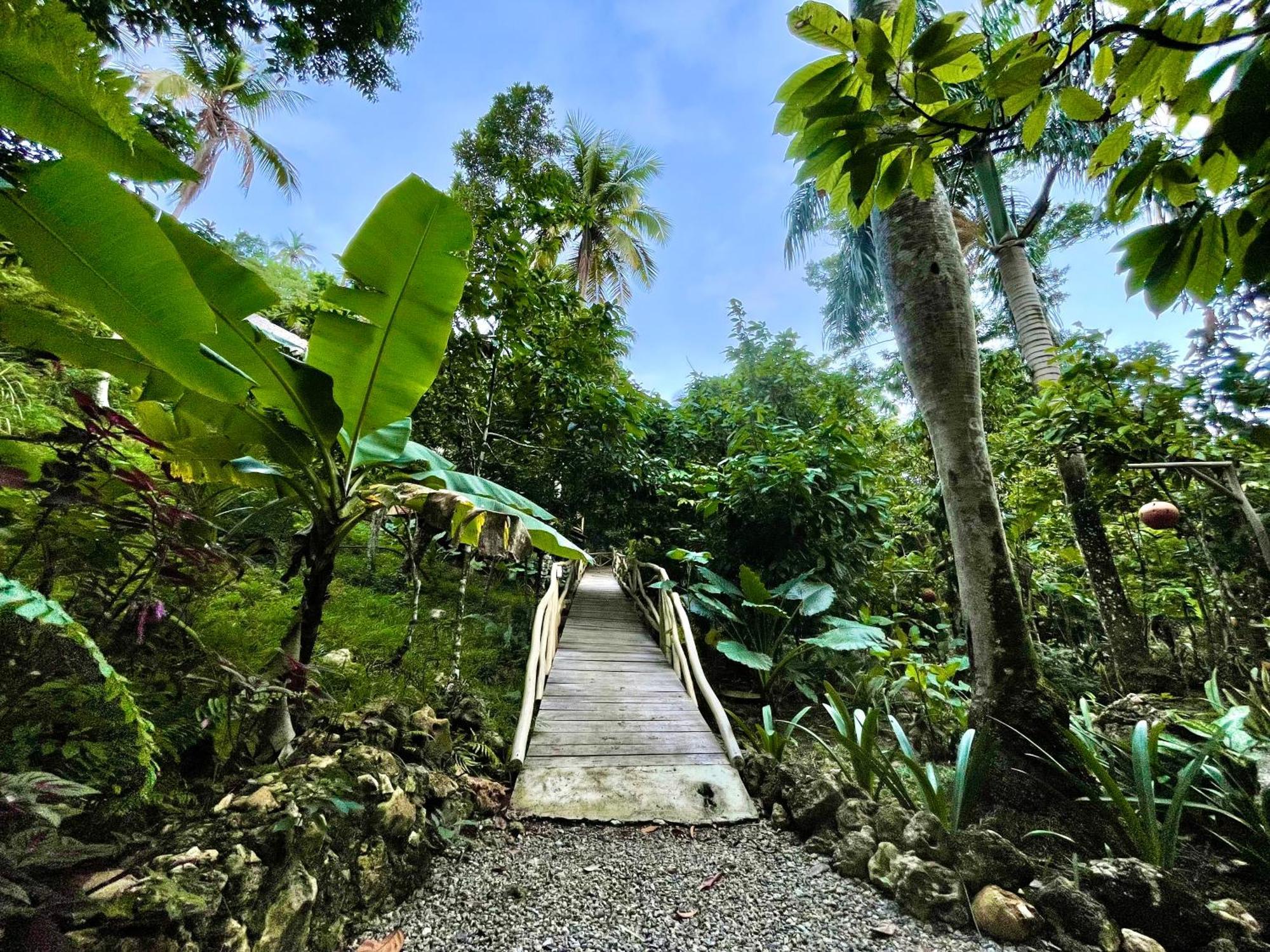 Rancho Romana Ecolodge Park V-01 El Limon المظهر الخارجي الصورة